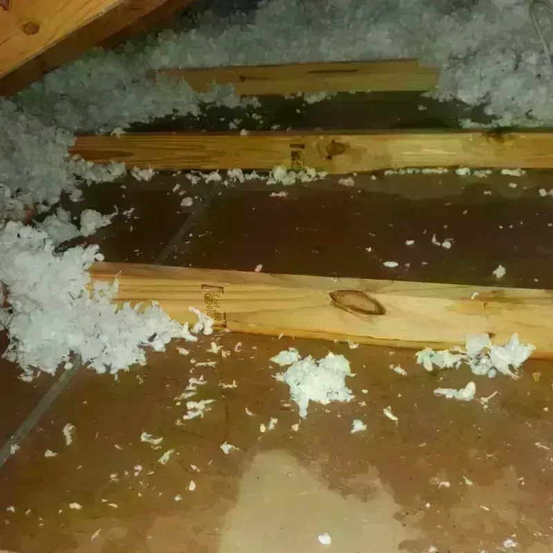 Attic Water Damage in Green Park, MO